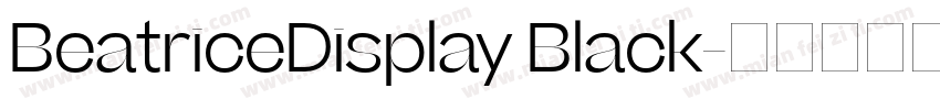 BeatriceDisplay Black字体转换